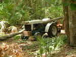 Tree falls on tractor, 6/5/04