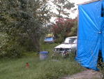 Outside my shed at moms, before we tore it down.  79 Rabbit (near), 82 Rabbit parts car (far)