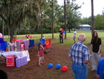 IMG_3324.JPG