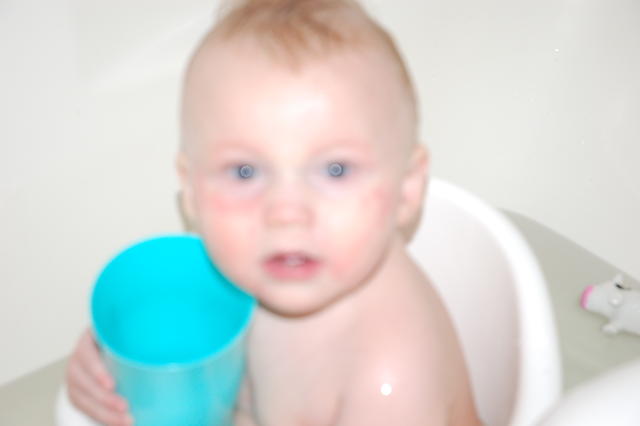 DSC_1842.JPG