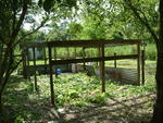 20030706-161928
bye bye chicken coop!