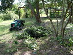 20030706-161933
bye bye chicken coop!