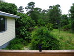 augusta, 2009